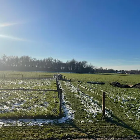 De Kraaiende Haan *